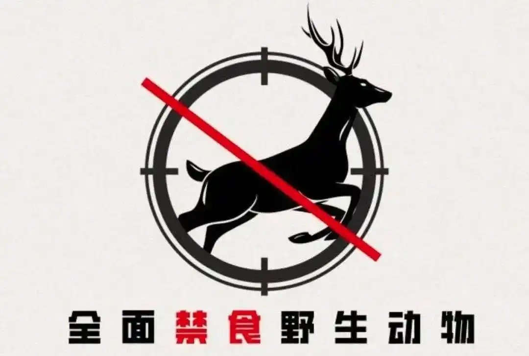 野生动物保护专题来了快来答题吧