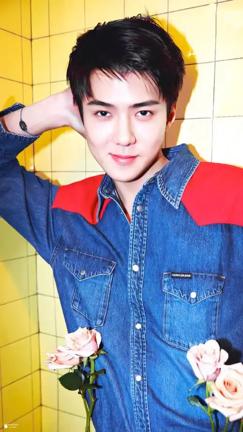 吴世勋时尚cosmo四月刊封面男神