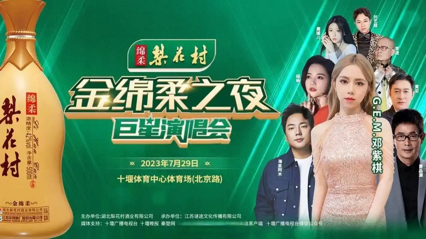 梨花村"金绵柔之夜"群星演唱会在十堰市体育中心激情上演,邓紫棋,海来