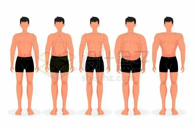 h型三角型梯形苹果型v型男性身材类型3257157矢量图片免抠素材免费
