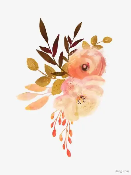 花卉水彩png素材透明免抠图片-装饰效果
