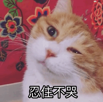 强忍住怒气表情包