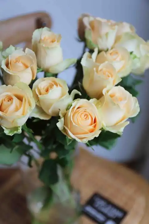 每周一花--单品 【彩玫 蜜桃雪山】28元/10支(提货时间8月2日——8月4