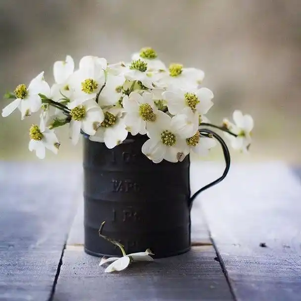 2019最潮的心情句子,唯美走心,治愈心灵!