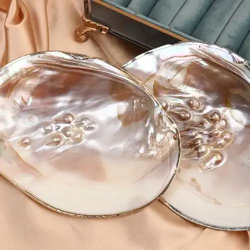 天然淡水珍珠河蚌贝壳鎏金摆件工艺品-阿里巴巴