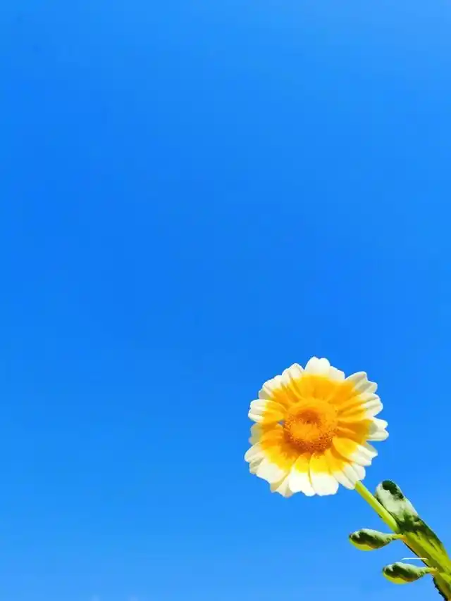 朋友圈正能量句子,干净阳光,唯美有内涵