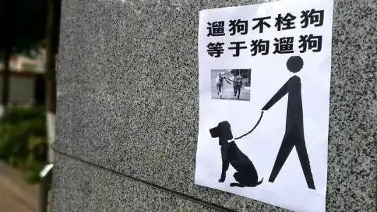 造成被狗绳绊倒身亡的悲剧,风险其实就在我们身边