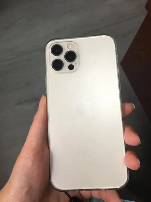 apple 苹果 iphone 12 pro 256gb 银色 6.