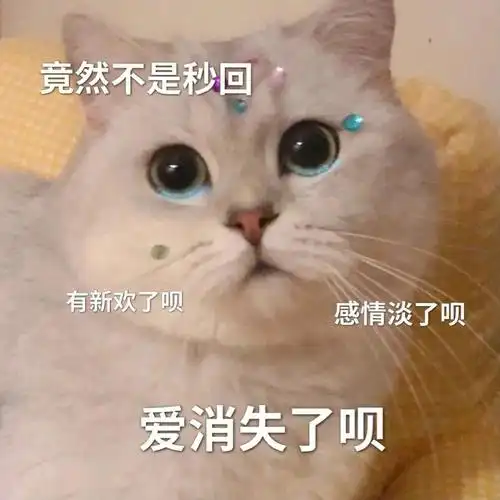 对象回消息慢就发这个给ta