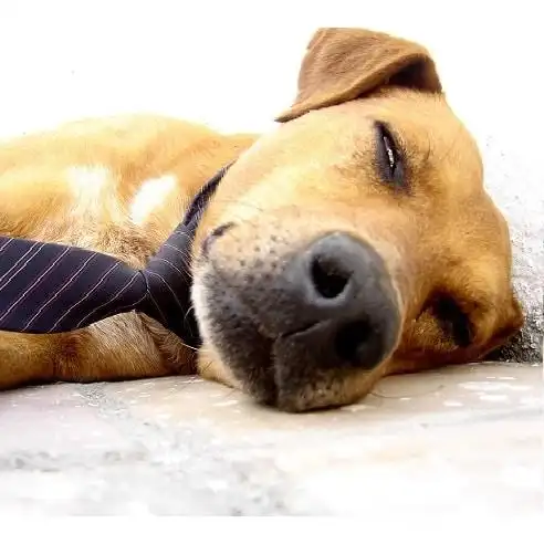 tired of 累? try this instead