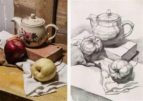 素描静物组合图片步骤初学简单静物组合素描2022已更新今日更新