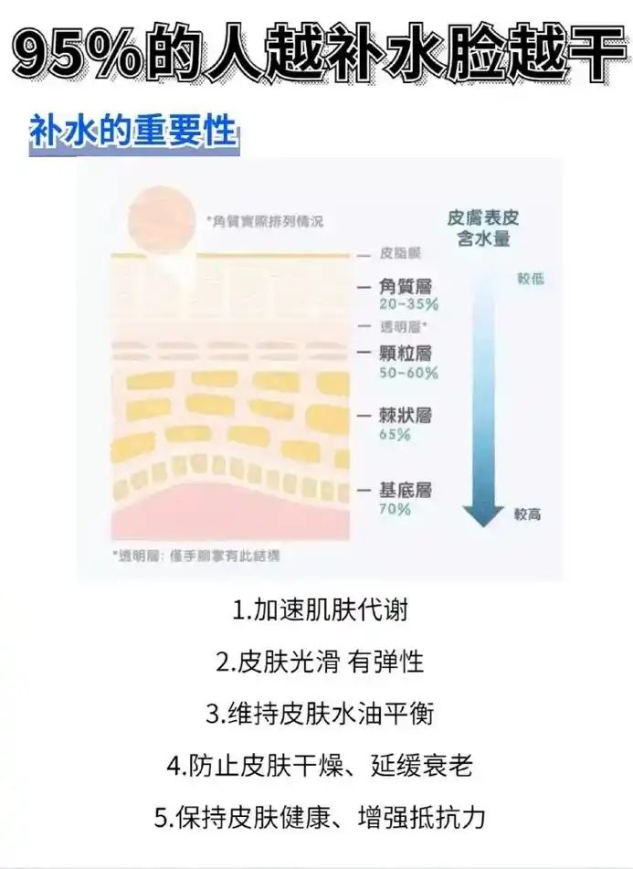 棘状居 皮肤水分加速流失 -角质层 鲨烷,积雪草等修复成分 - 抖音