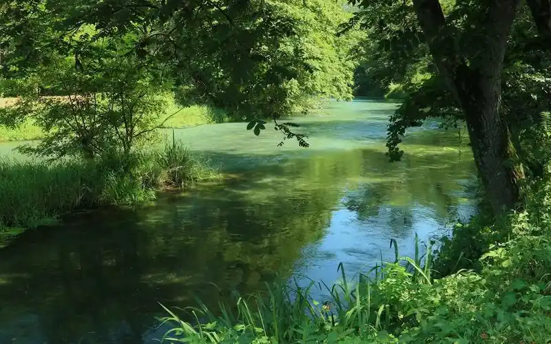 4k自然风景&自然环境音—柔和的水声