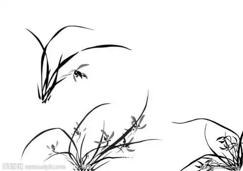 国画兰花竹子山的简笔画