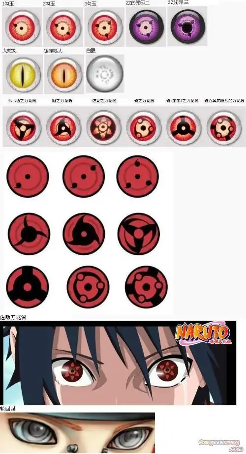 火影所有的眼(包括仙人模式的眼 轮回眼)谁有图片发来
