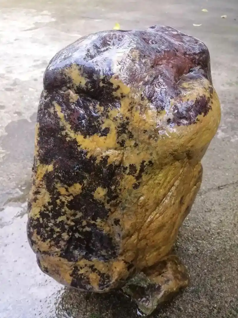 全球最稀有最昂贵的十大陨石之一……近些年来,收藏品市场异常火 - 抖