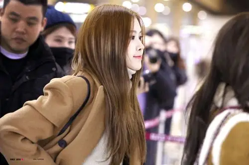 blackpink 朴彩英 rosé - 堆糖,美图壁纸兴趣社区