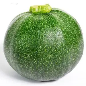 【圆南瓜种子图片】圆南瓜种子图片大全 - q友网