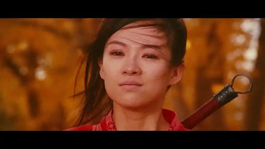 英雄:林中对决 张曼玉 章子怡