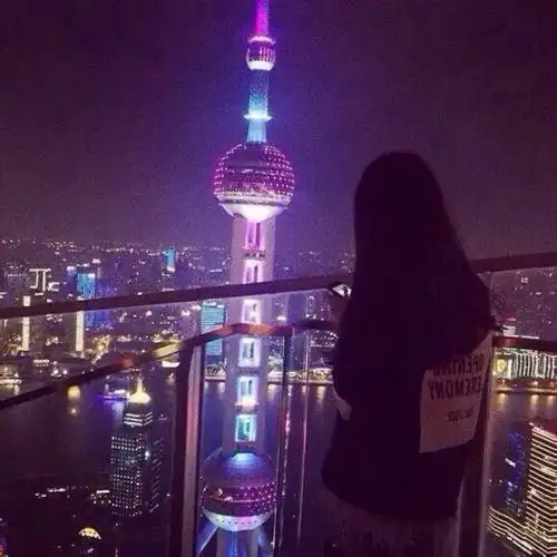 夜色,背影,女头