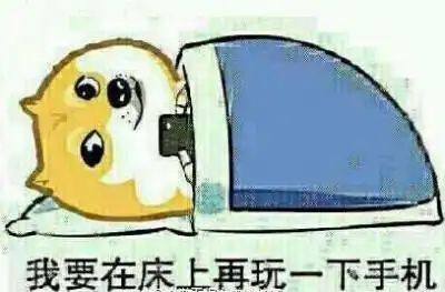 我在床上再玩下手机