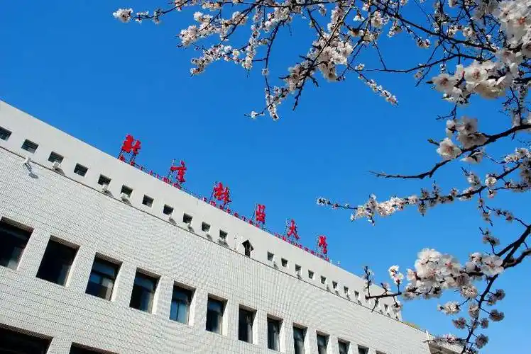 北农"王牌专业"大揭秘 |国际经济与贸易专业,你从事