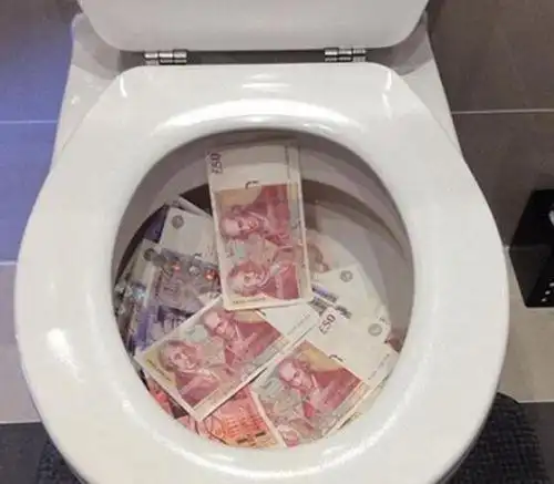 俄罗斯富二代炫富:连马桶里都是钞票