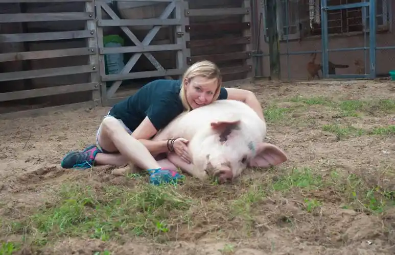 女子把猪当儿子养,同吃同睡百般呵护,开门打招呼让人服气