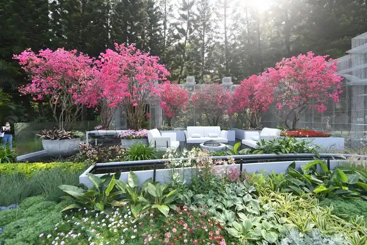 2021粤港澳大湾区深圳花展即将开幕