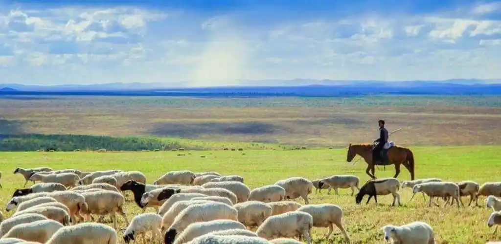 蒙古国,一个地下流淌着黄金的贫困国_经济体_大宗商品_资源