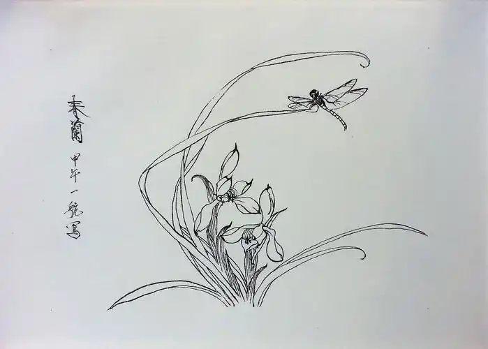 中国花鸟画-工笔白描