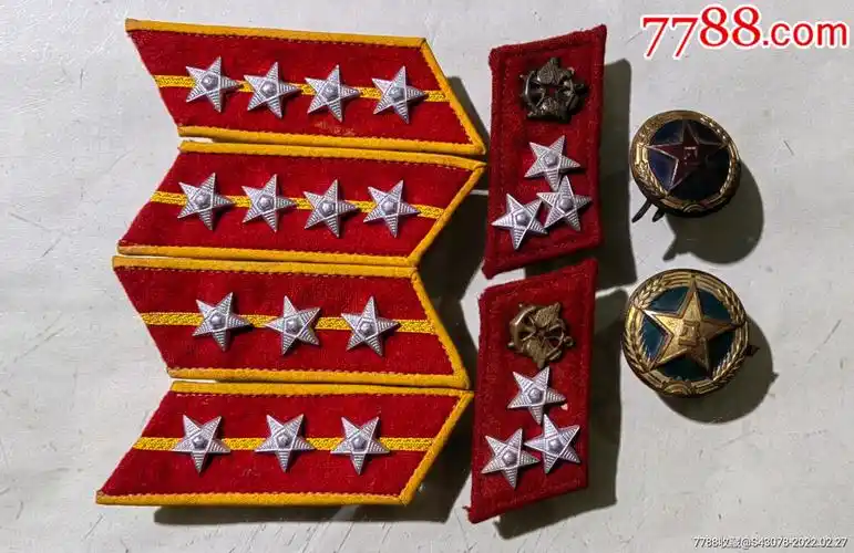 五五领章加俩五五帽徽合拍