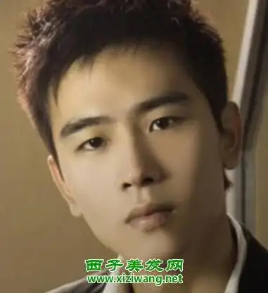 男士棕色短发发型图片男士扎棕色短发帅气吗