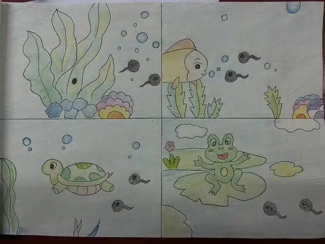 小蝌蚪找妈妈连环画