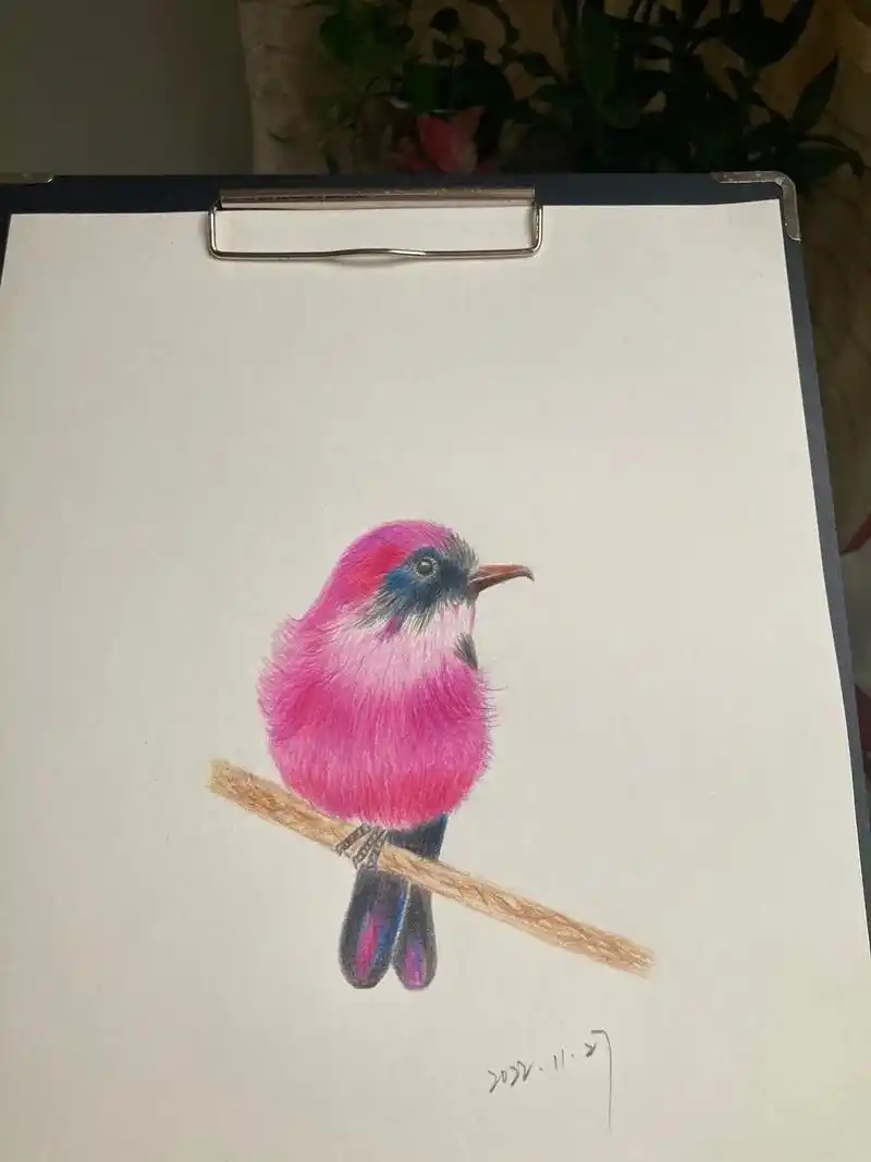 最便宜的彩铅笔画不出高级的作品,将就着打发时间呗#彩铅画#在 - 抖音