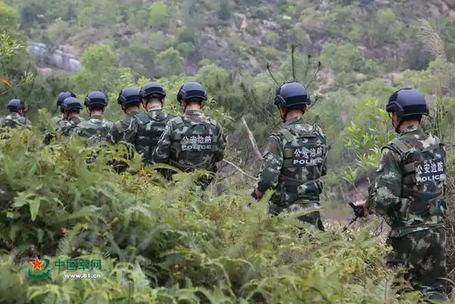 武警边防部队练习丛林作战 严酷考验打造"示范班"