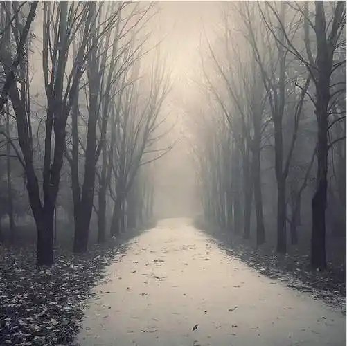 摄影学习-诉说心境的黑白风光作品 -陈阅摄影课堂67|风光摄影|风景