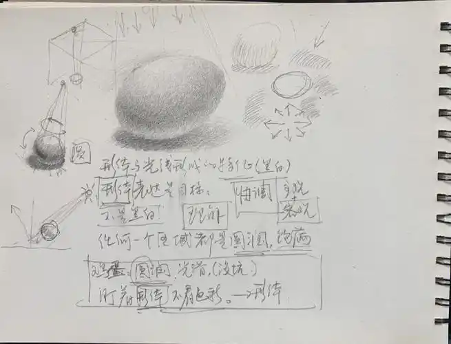 高冬老师素描课笔记