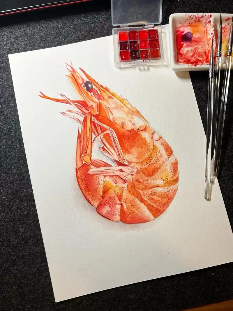 水彩静物写生练习·一只虾虾.#水彩 #绘画过程分享 #手绘