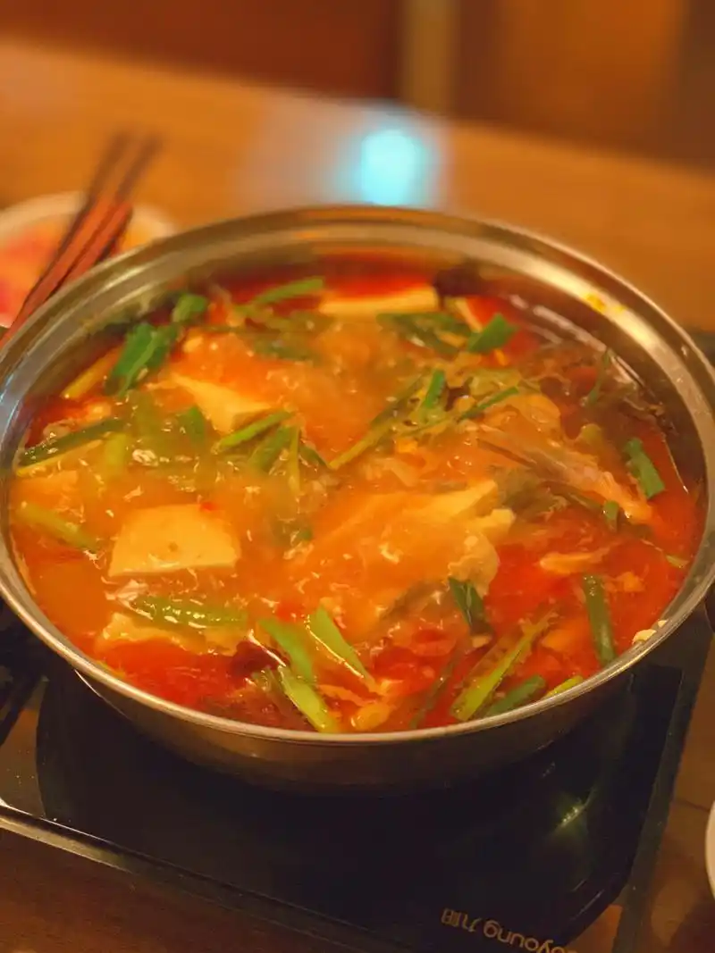 贵州酸汤鱼95火锅做法分享 (一个人做,没顾得上拍图,下次补) 08