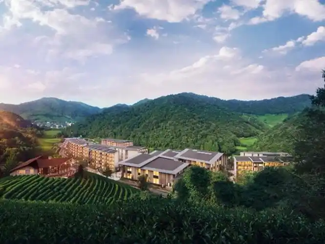 从2012年开始构想高品质养老社区文化附高端医院到今年