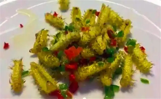 农村害虫"洋辣子",甚至是一道佳肴,一斤要200元