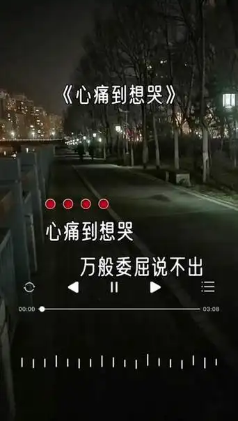 心痛到想哭,万般委屈说不出,在深夜品尝我的无助