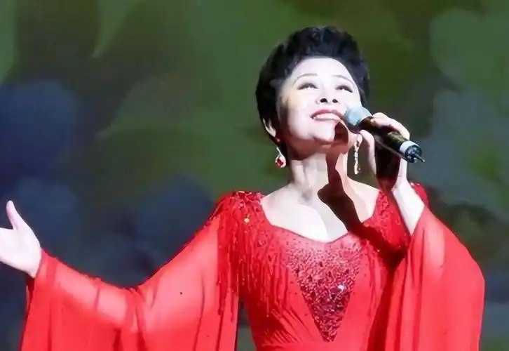 董文华:连登舞台13年,2000年因"绯闻"跌落神坛,如今怎样了