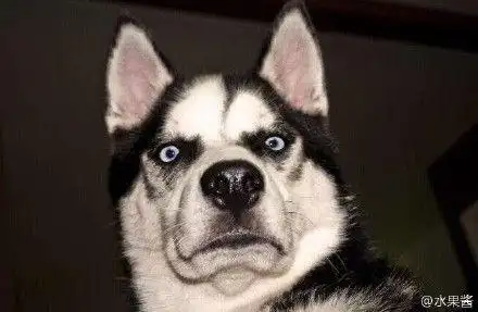 (Д)分享一组惊讶的表情