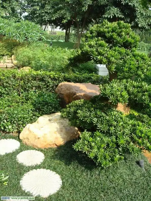 百变景观石,款款倾心 - 园林吧