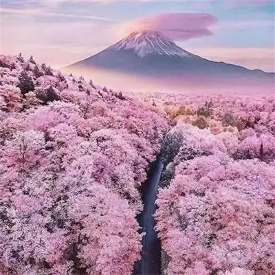 清新淡雅干净治愈山水风景头像大全