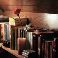 唯美书头像 故事书写的很美_微信头像图片大全