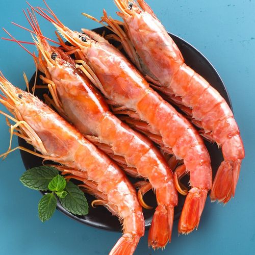 渔哥头等舱 阿根廷红虾特大l1超大虾鲜活净重4斤海捕大虾海鲜水产