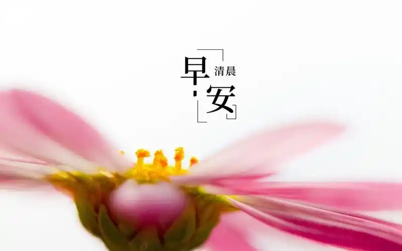 早安暖心问候语,高清壁纸图片,非主流-回车桌面